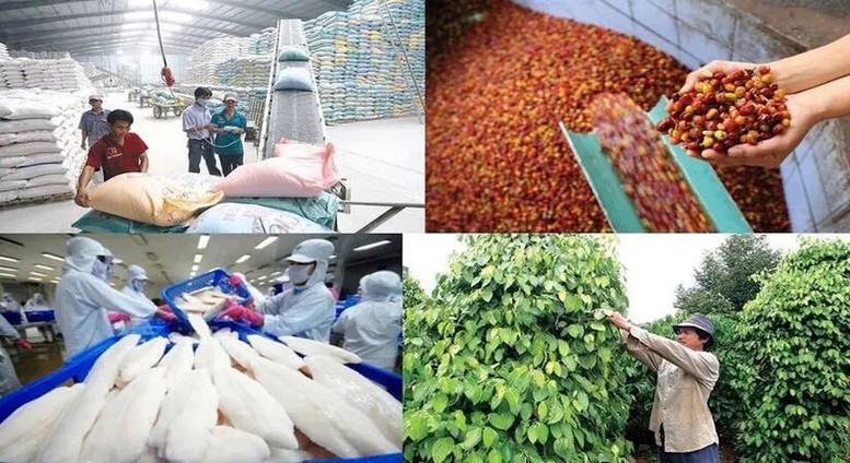 Xuất khẩu n&ocirc;ng l&acirc;m thủy sản từ 70 đến 100 tỷ USD: Cần những bước đột ph&aacute; mới- Ảnh 3.