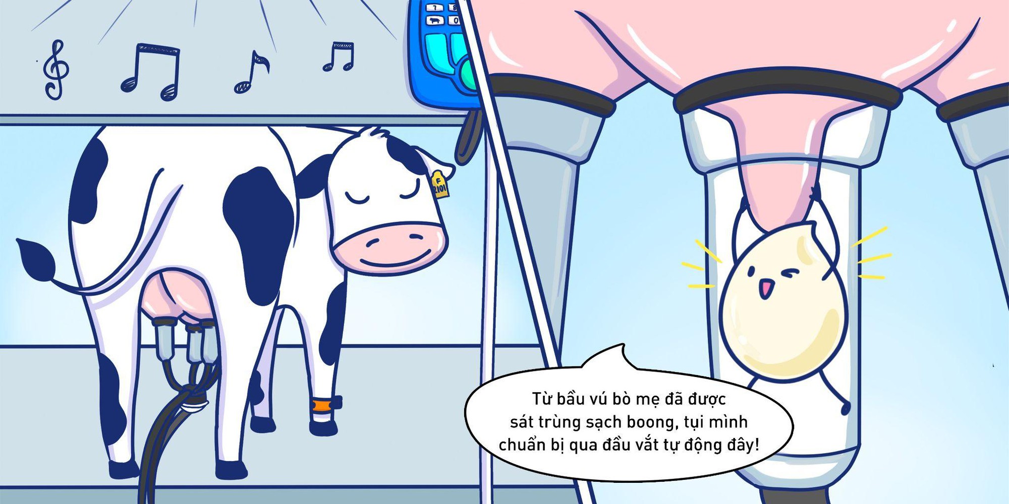 Kh&aacute;m ph&aacute; h&agrave;nh tr&igrave;nh kh&ocirc;ng hở một gi&acirc;y của giọt sữa tươi sạch TH true MILK - Ảnh 1.