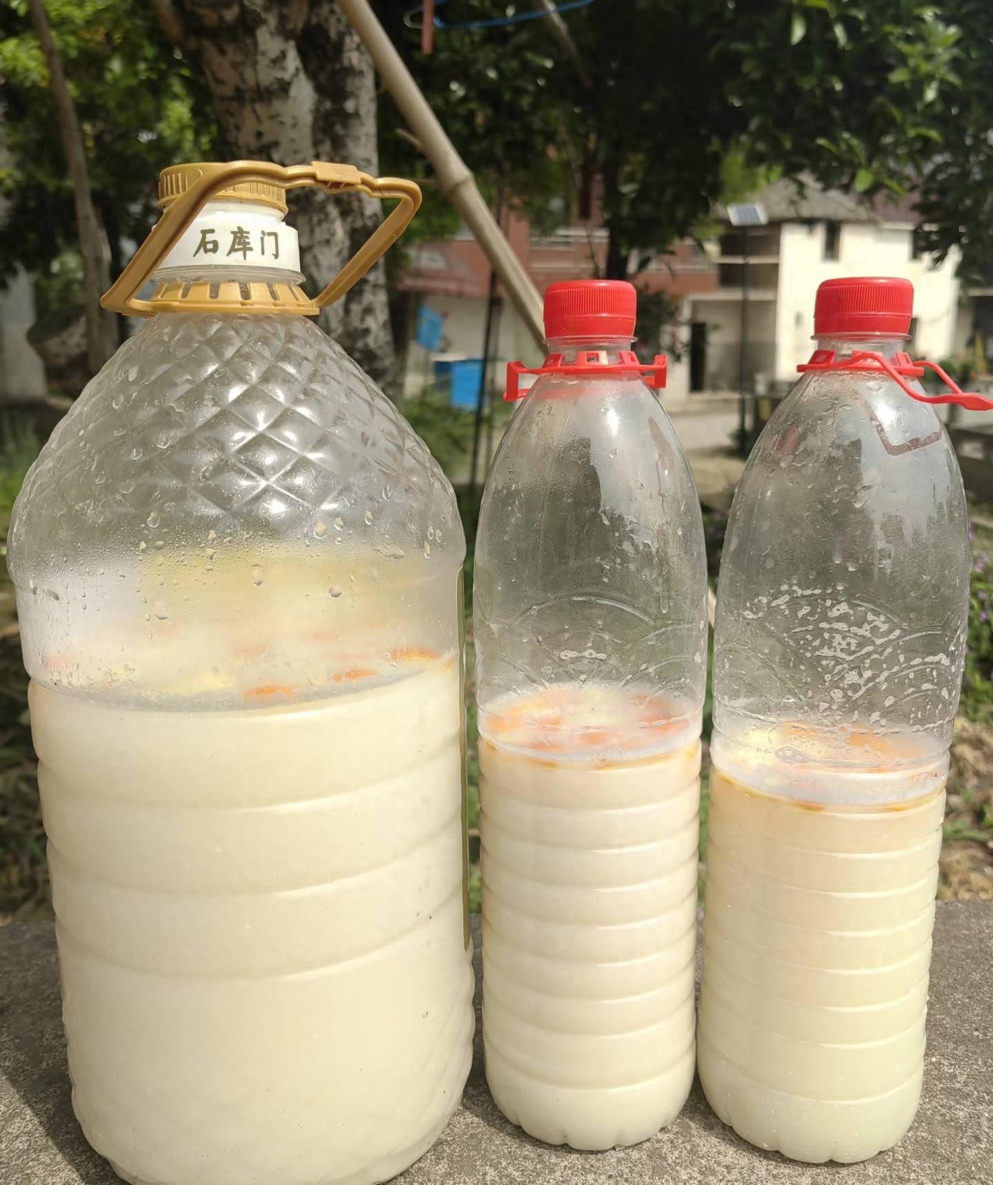 6 loại "nước độc hại" không nên dùng để tưới cây vào tháng 7: Sai một lần, cả chậu cây cũng có thể héo rũ- Ảnh 1.