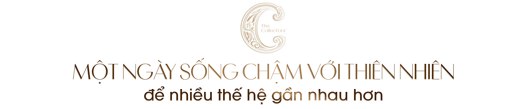 Kiến tạo một hệ sinh thái thiên nhiên truyền đời giữa nội đô- Ảnh 1.