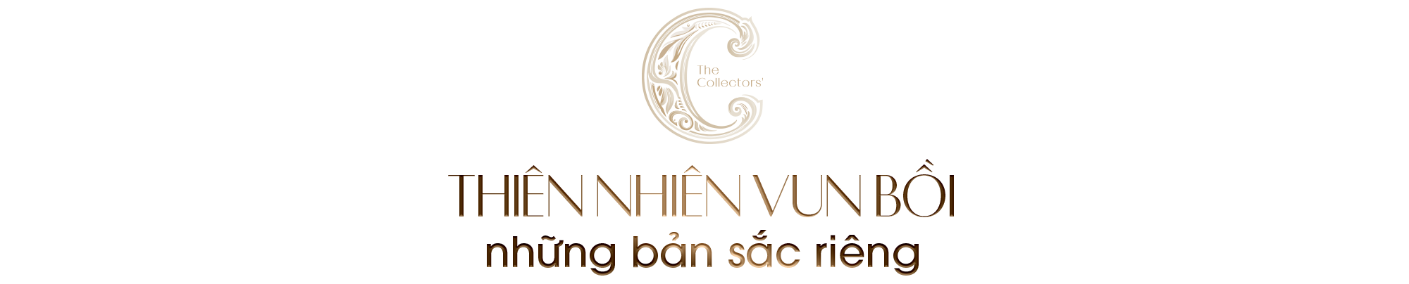 Kiến tạo một hệ sinh thái thiên nhiên truyền đời giữa nội đô- Ảnh 7.