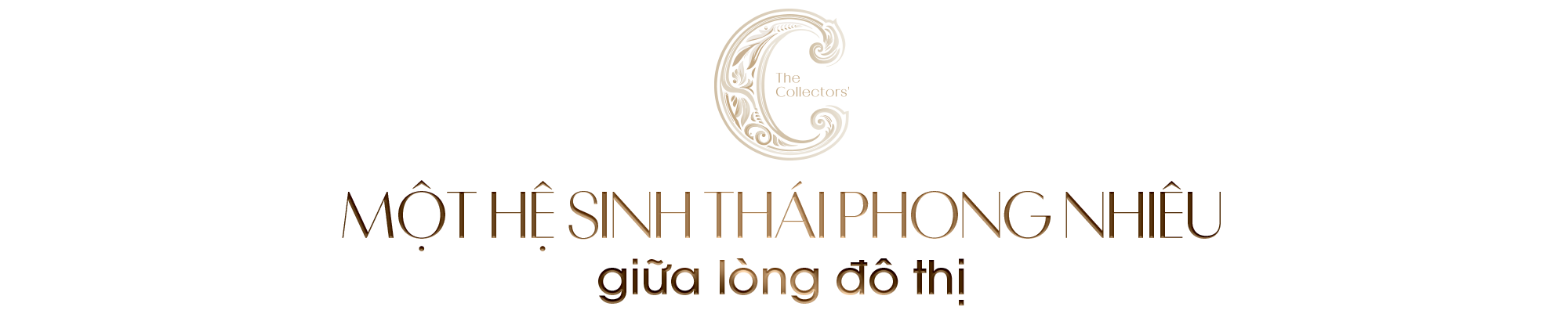 Kiến tạo một hệ sinh thái thiên nhiên truyền đời giữa nội đô- Ảnh 12.