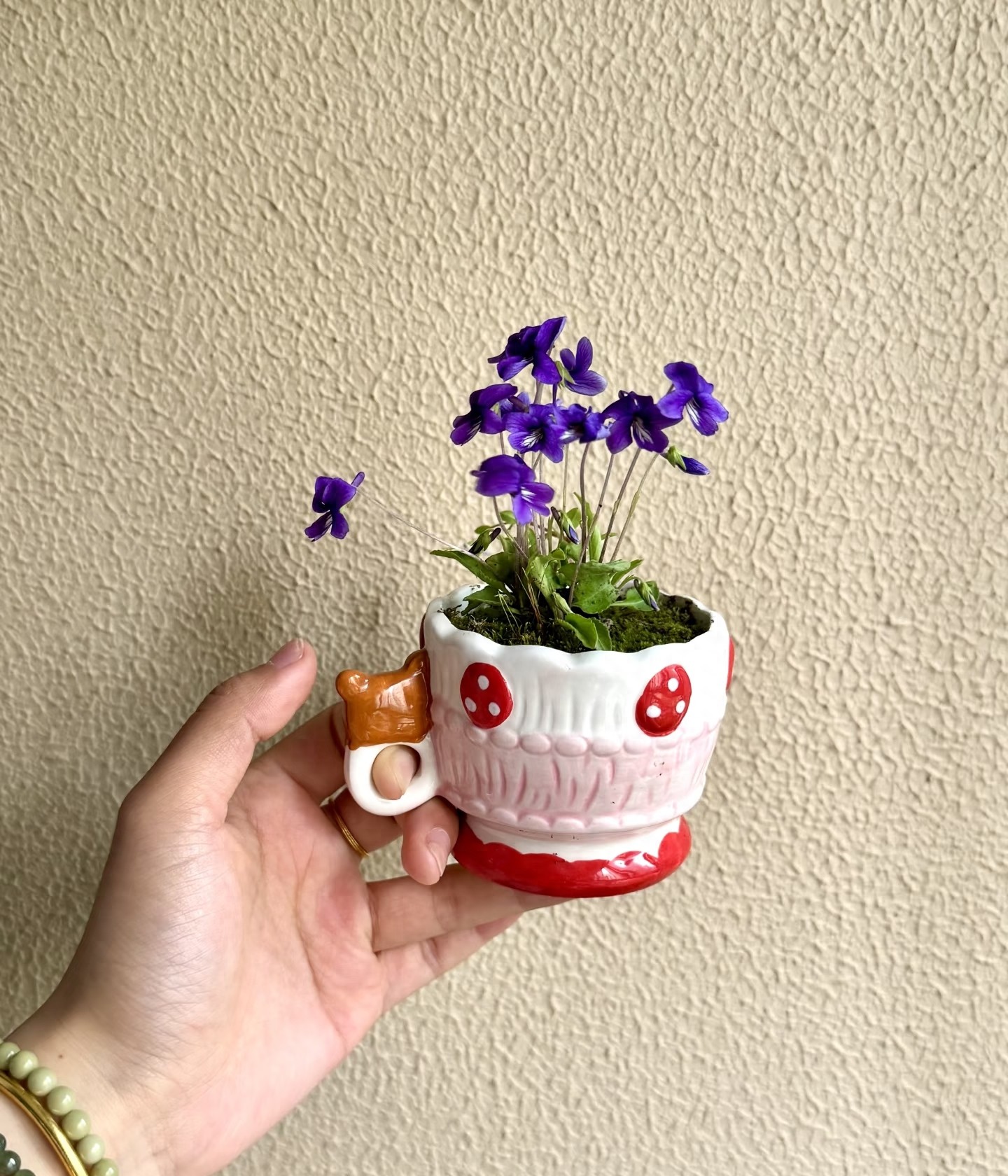 Tôi học được 4 mẹo trồng hoa "0 đồng" từ cư dân mạng: Không cần mua nhiều vẫn có ban công xanh mướt, hoa nở rực rỡ - Ảnh 1.