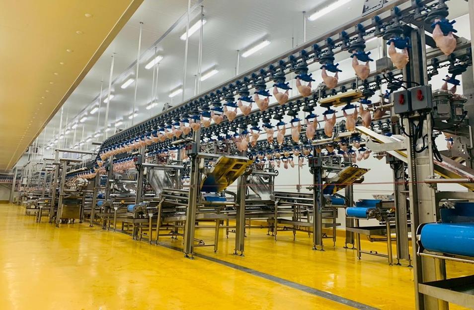 Tập đo&agrave;n C.P. mở rộng đầu tư tại Việt Nam, th&uacute;c đẩy chế biến s&acirc;u v&agrave; xuất khẩu - Ảnh 3.