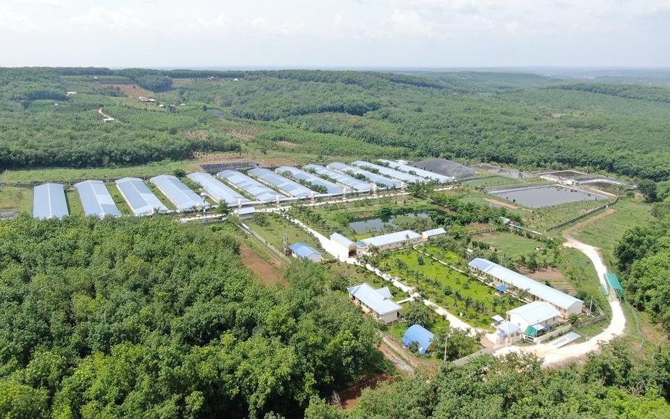 Tập đo&agrave;n C.P. mở rộng đầu tư tại Việt Nam, th&uacute;c đẩy chế biến s&acirc;u v&agrave; xuất khẩu - Ảnh 4.