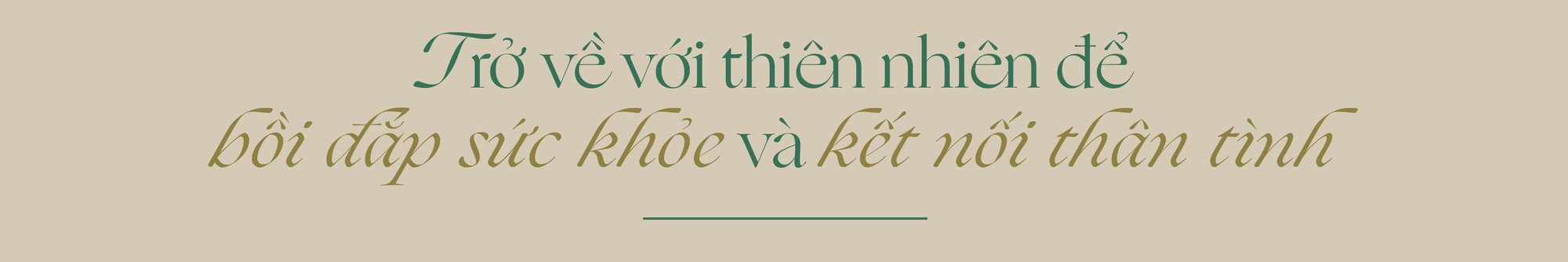 “Người Thanh Xuân”: Khi lựa chọn an trú mở ra nhịp sống mới giữa miền thông reo - Ảnh 1.