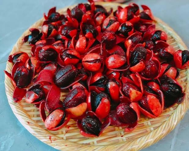 Vì sao gọi là cây máu chó? - Ảnh 3.