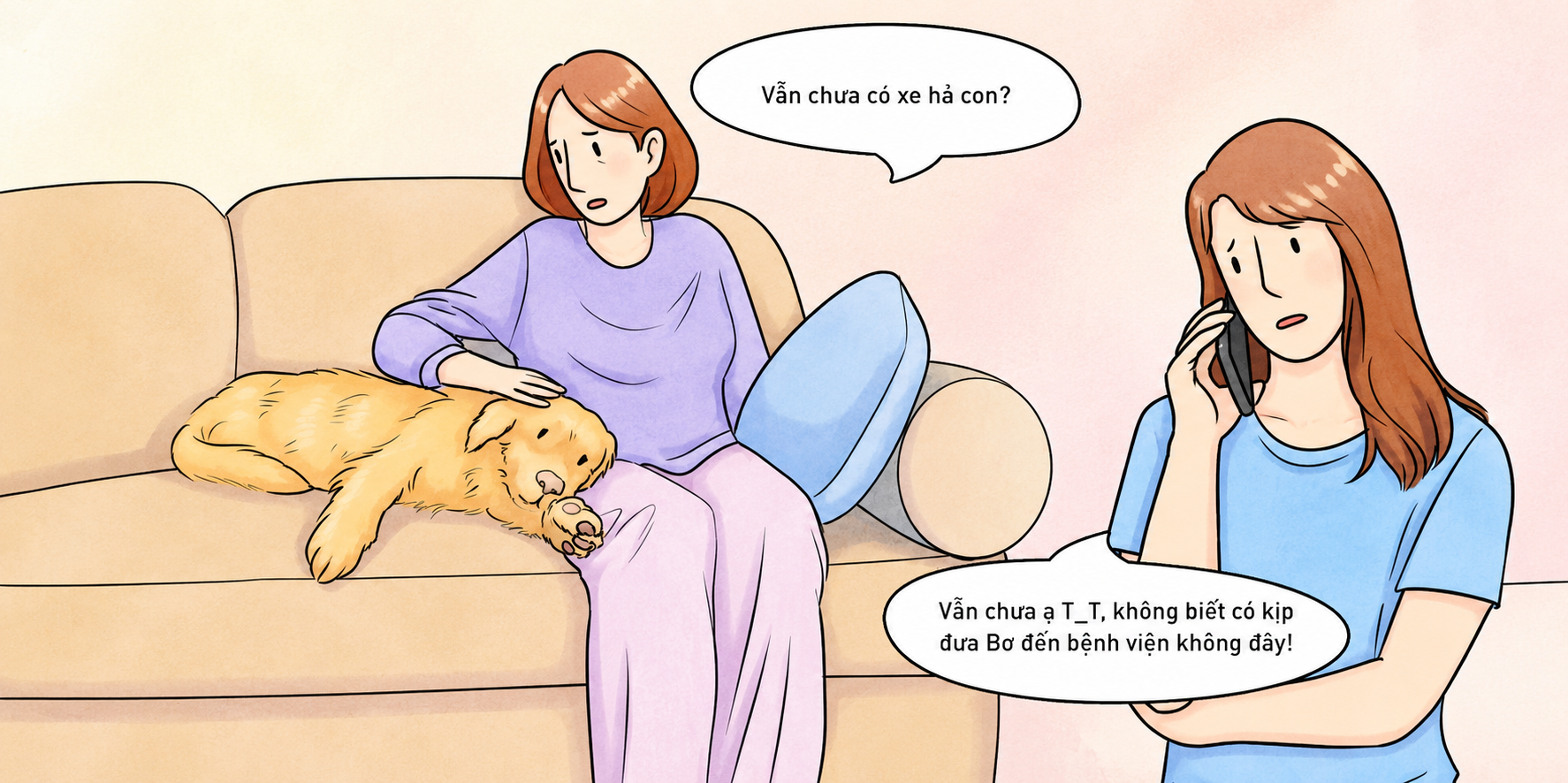 T&igrave;m thấy "ch&acirc;n &aacute;i" cho những chuyến đi c&ugrave;ng "th&agrave;nh vi&ecirc;n bốn ch&acirc;n" của gia đ&igrave;nh- Ảnh 2.