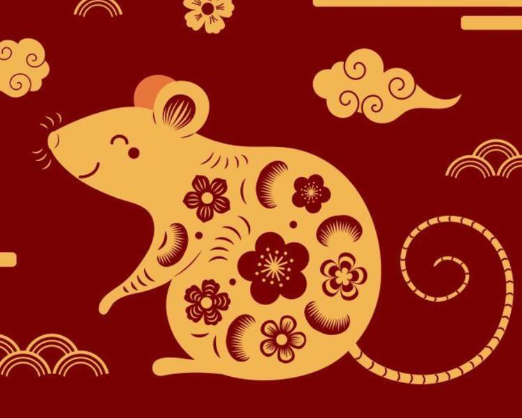 Top 4 cung hoàng đạo có vận may tài chính khởi sắc trong tháng 8: Tiền cũ về tay, tài lộc mở lối- Ảnh 1.