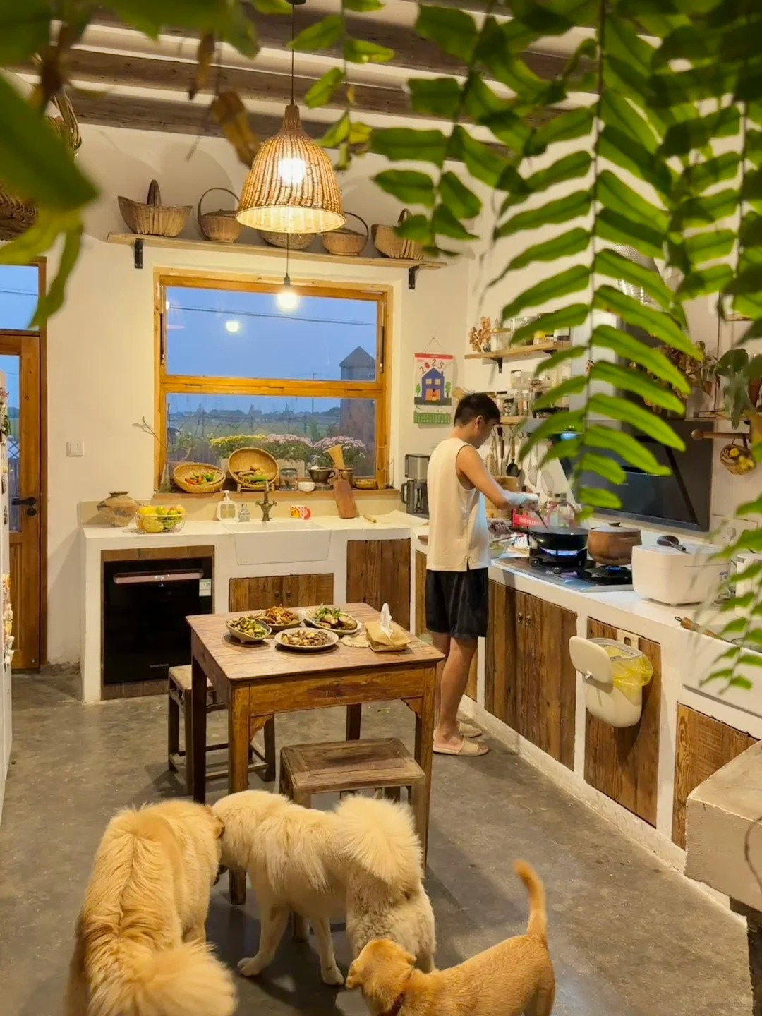 Chàng trai thuê nhà cũ 300m2 giá 5 triệu/tháng, nhưng chi 500 triệu để cải tạo: Mở mắt ra là thấy điều 