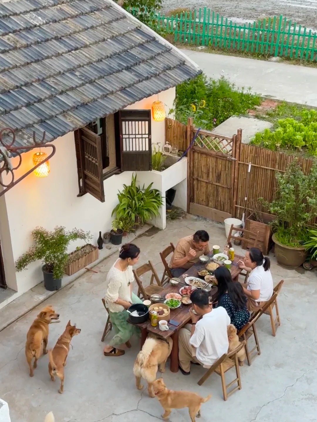 Chàng trai thuê nhà cũ 300m2 giá 5 triệu/tháng, nhưng chi 500 triệu để cải tạo: Mở mắt ra là thấy điều 