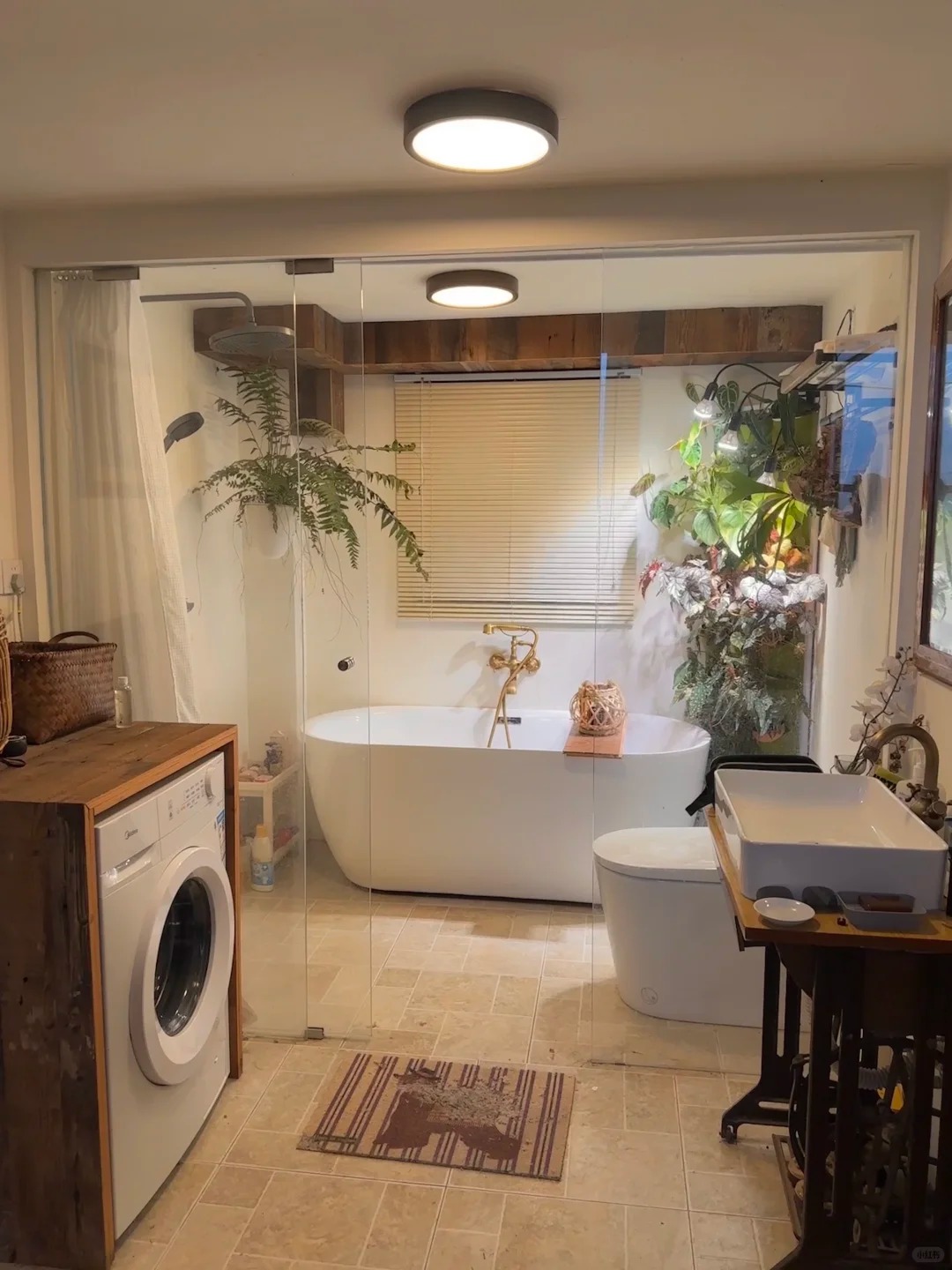 Chàng trai thuê nhà cũ 300m2 giá 5 triệu/tháng, nhưng chi 500 triệu để cải tạo: Mở mắt ra là thấy điều 