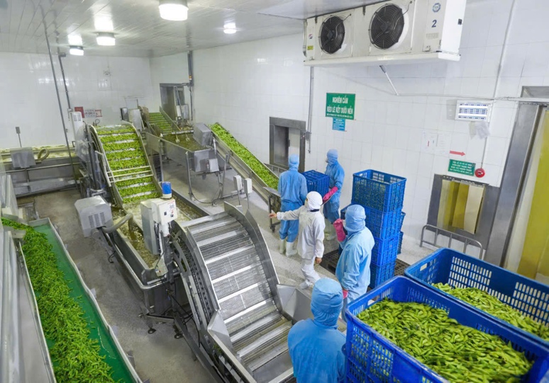 Antesco bứt tốc 6 th&aacute;ng, cam kết c&aacute;n mốc sản xuất 100.000 tấn/năm. - Ảnh 3.