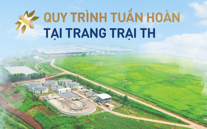 V&ograve;ng đời kh&eacute;p k&iacute;n của chất thải tại Cụm trang trại b&ograve; sữa quy m&ocirc; h&agrave;ng đầu thế giới- Ảnh 1.