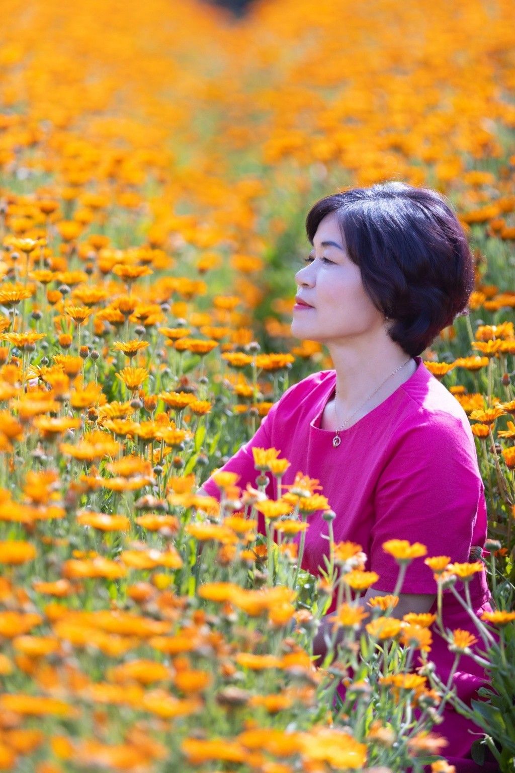 5 khuyên tài chính người sau tuổi 50 nên ngừng nghe nếu muốn giữ tiền dưỡng già - Ảnh 3.