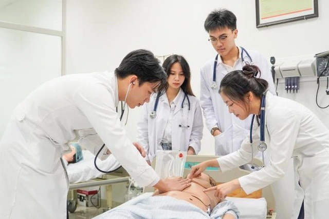Đầu tư cho bác sĩ nội trú: bước đột phá nâng tầm y tế Thành phố Hồ Chí Minh - Ảnh 2.