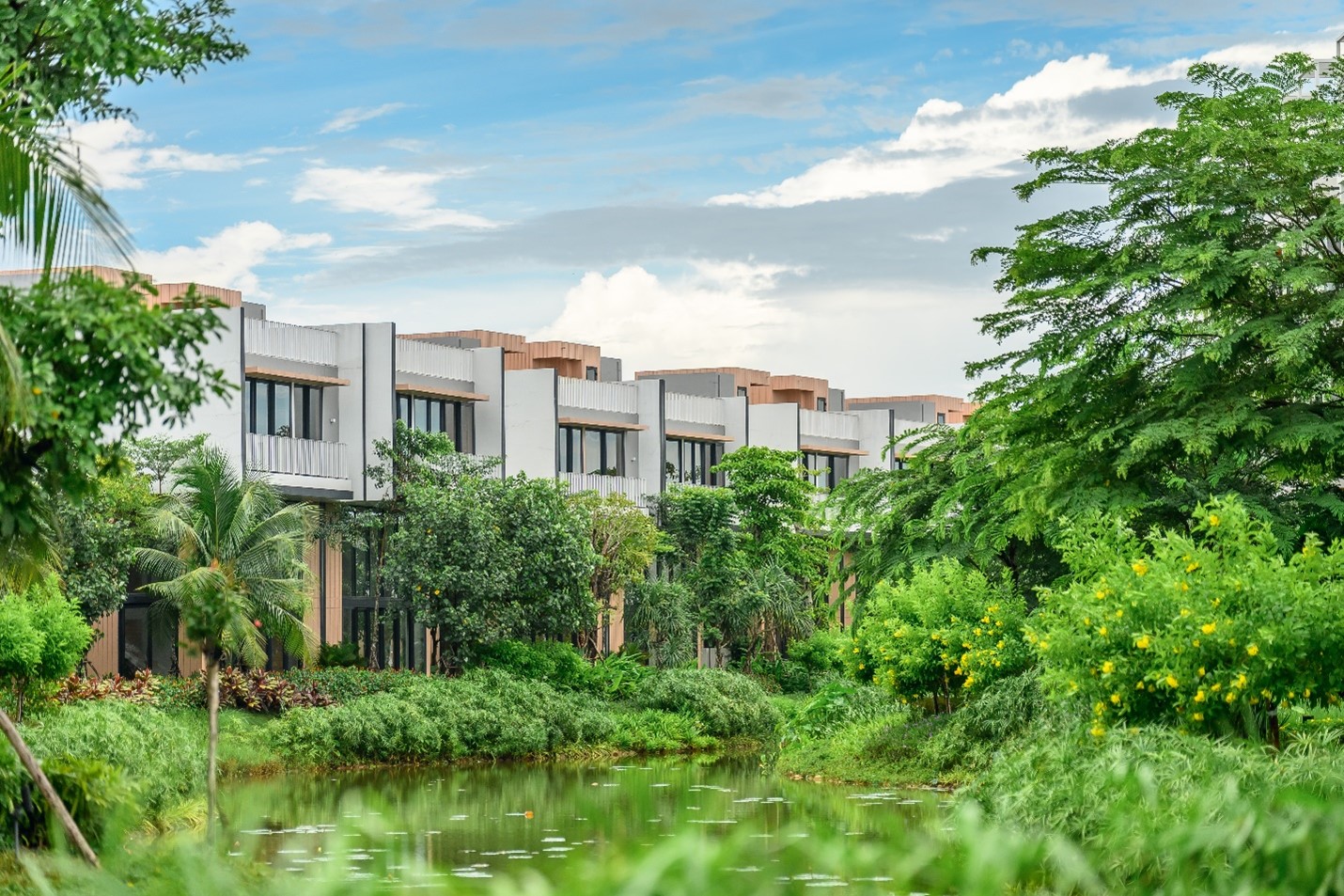 Ba cây cầu giúp Đại Phước tận dụng thế ‘sát vách’ TP HCM- Ảnh 8.