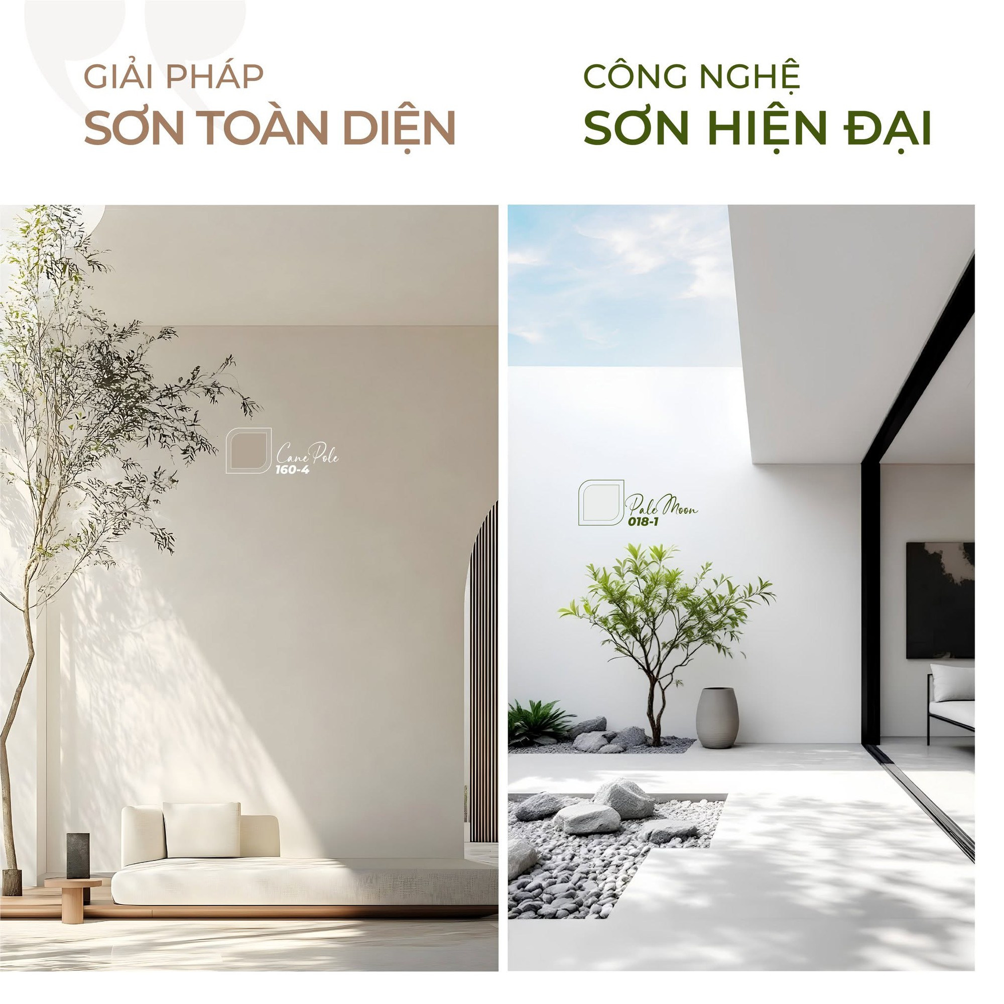Xu hướng sơn bền vững cho kh&ocirc;ng gian tương lai - Ảnh 1.