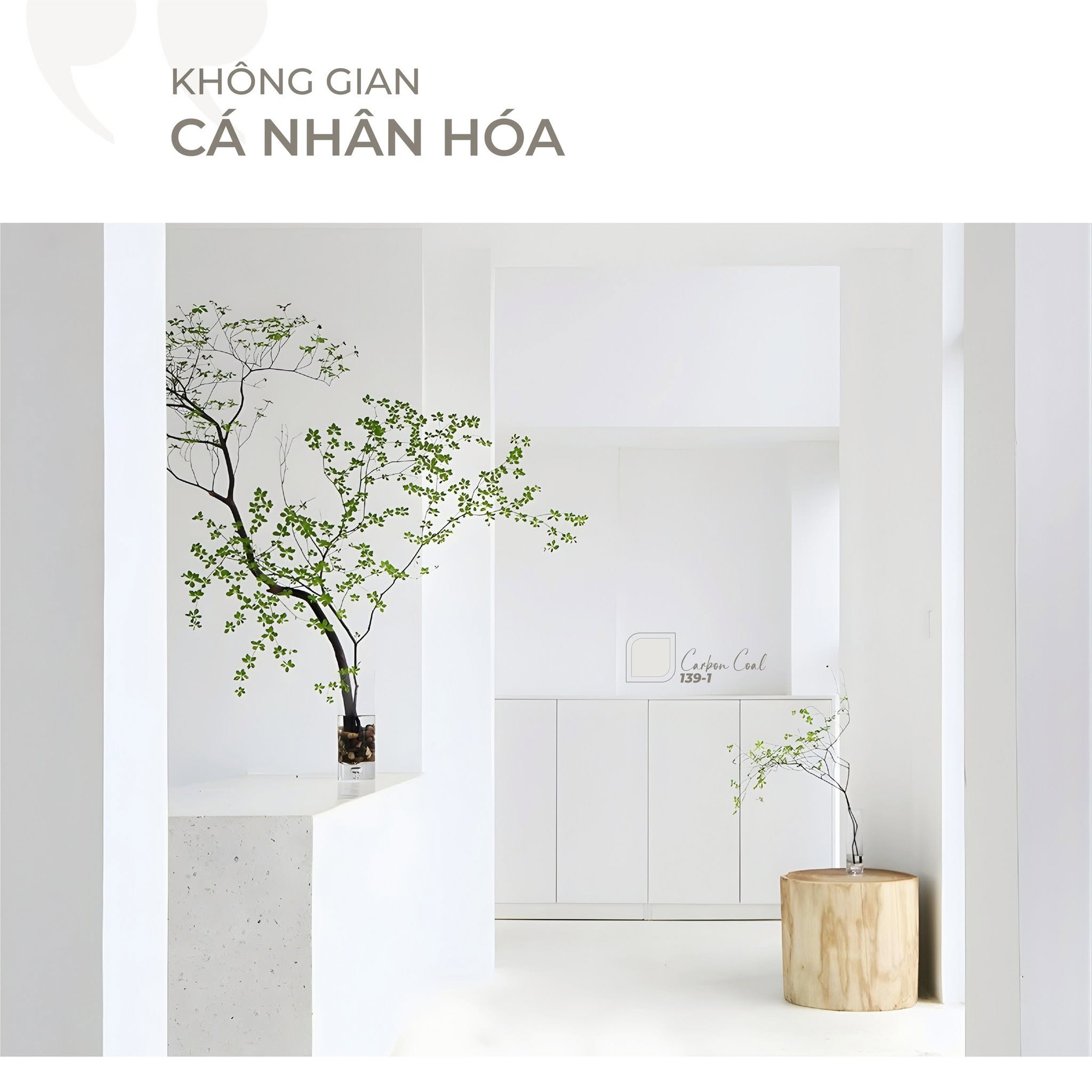 Xu hướng sơn bền vững cho kh&ocirc;ng gian tương lai - Ảnh 2.
