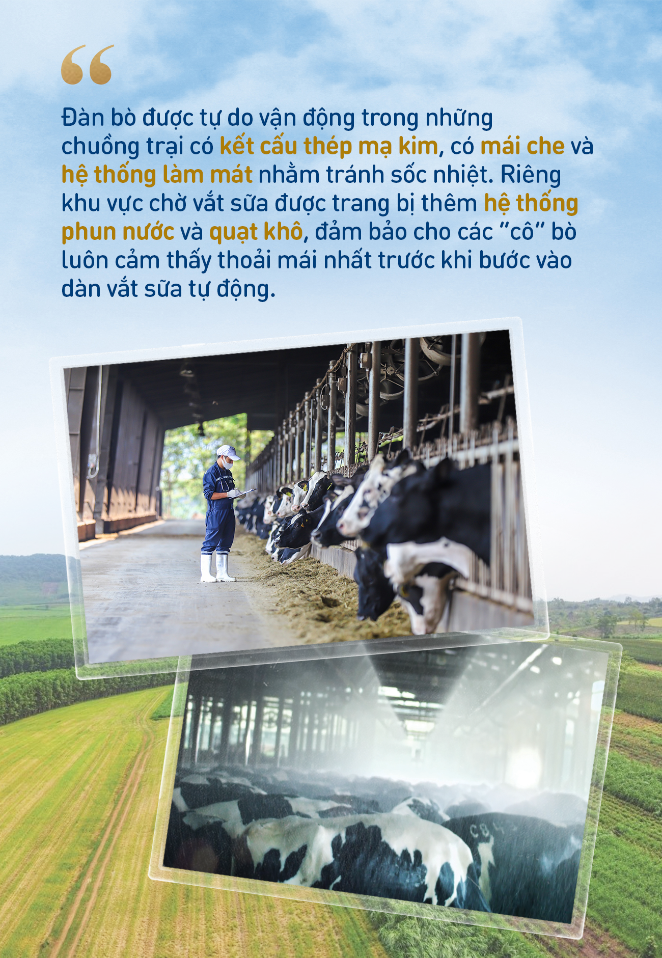 Những điểm nhấn làm nên chất lượng hàng đầu của sữa tươi sạch TH true MILK- Ảnh 2.
