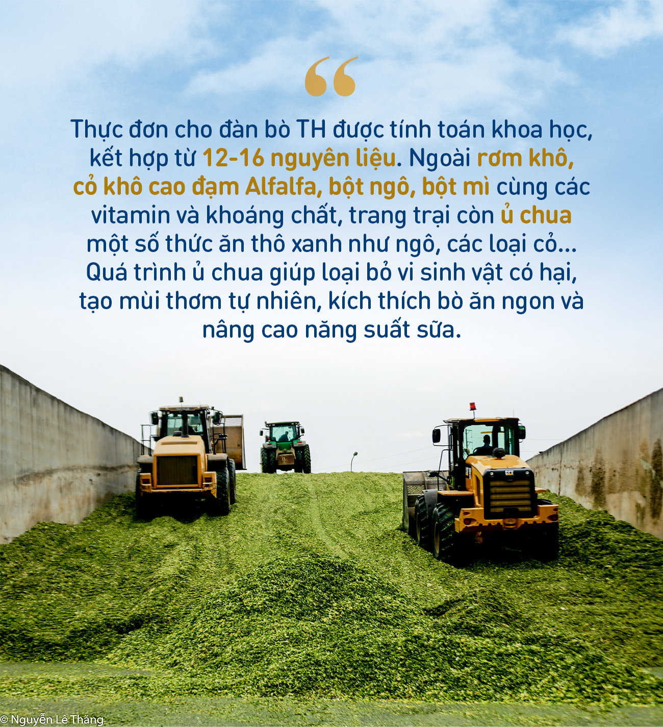 Những điểm nhấn làm nên chất lượng hàng đầu của sữa tươi sạch TH true MILK- Ảnh 3.