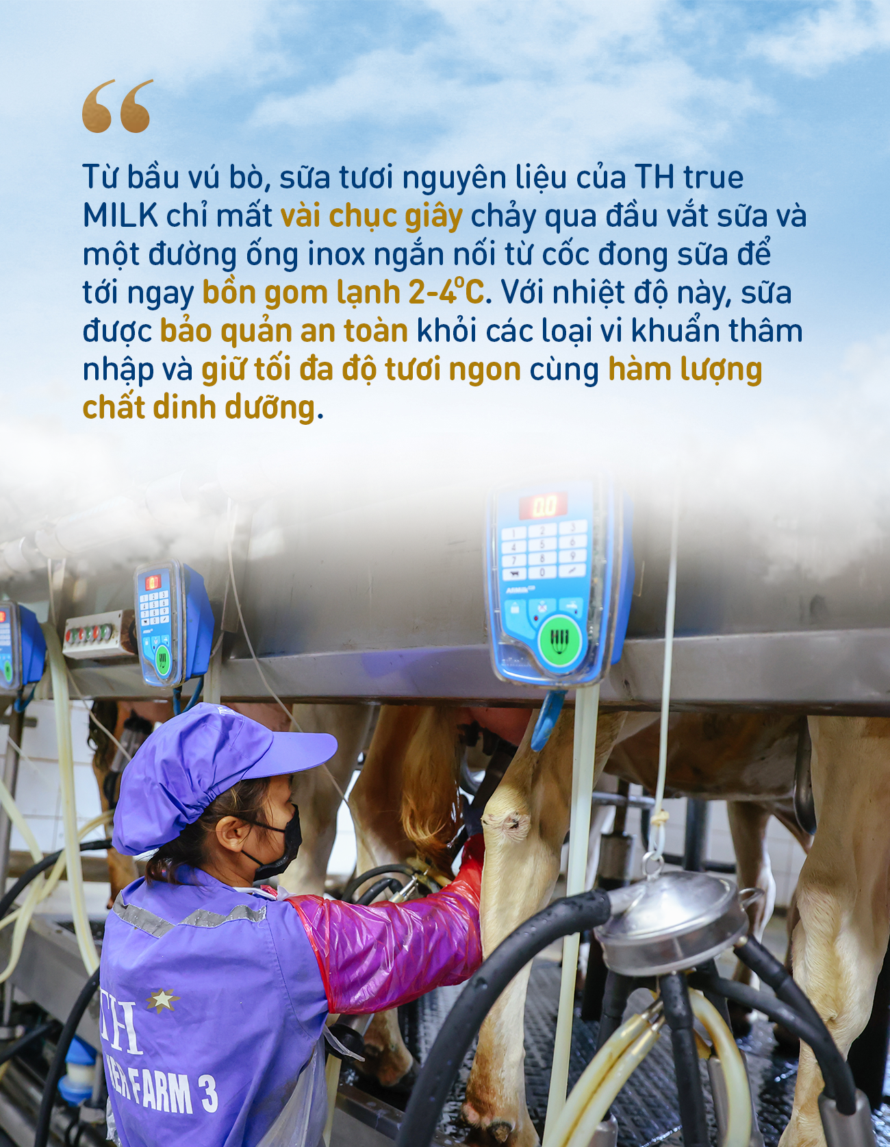 Những điểm nhấn làm nên chất lượng hàng đầu của sữa tươi sạch TH true MILK- Ảnh 6.