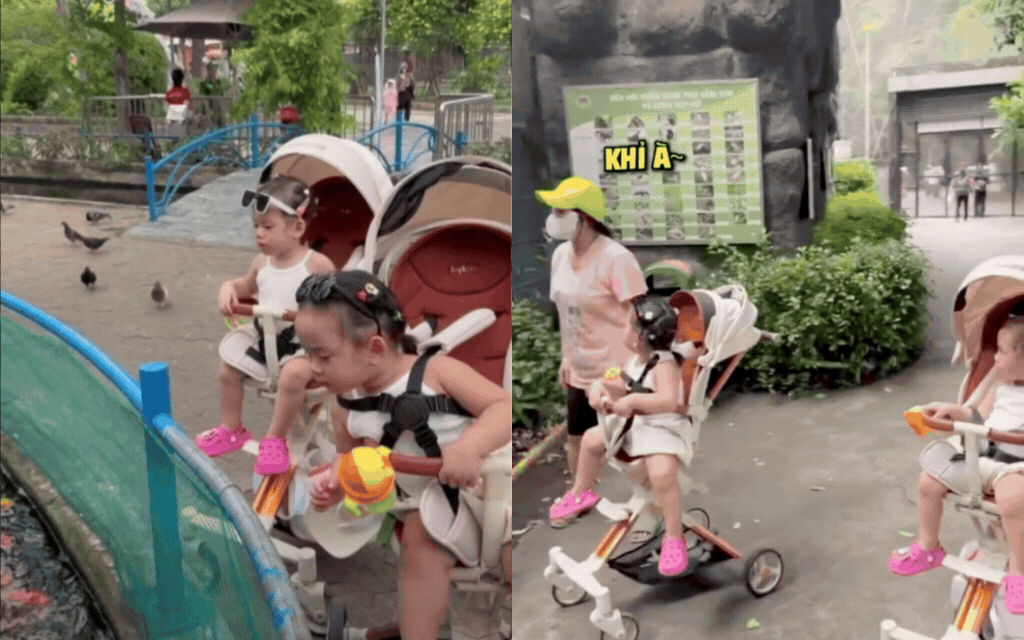 2 con gái Tiến Luật hào hứng ghé thăm vườn chim thú Đầm Sen, ngoại hình đúng chuẩn "Thu Trang phiên bản mini"- Ảnh 1.
