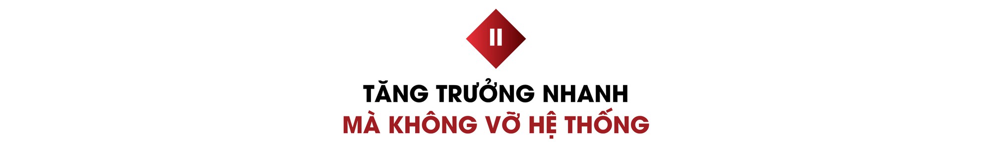Chủ tịch RSL Group Đào Thế Anh: Từ bài toán quản trị tăng trưởng đến sứ mệnh mang đến dịch vụ tốt nhất - Ảnh 3.