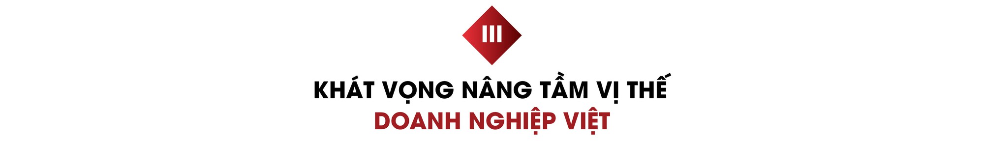 Chủ tịch RSL Group Đào Thế Anh: Từ bài toán quản trị tăng trưởng đến sứ mệnh mang đến dịch vụ tốt nhất - Ảnh 6.