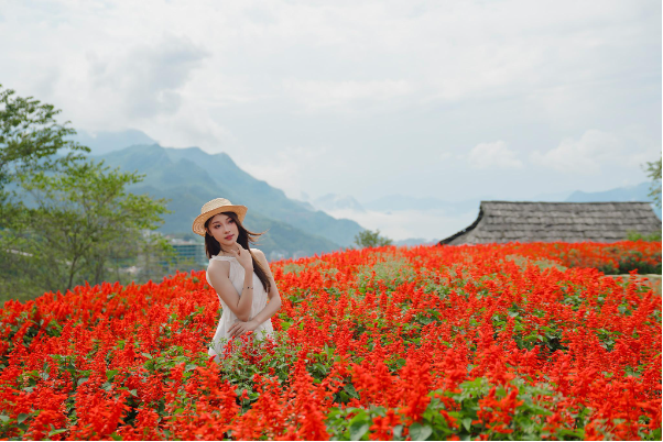 Th&aacute;ng 8 n&agrave;y, gh&eacute; Fansipan ngắm dải lụa đỏ hoa x&aacute;c ph&aacute;o rực rỡ giữa biển m&acirc;y - Ảnh 2.