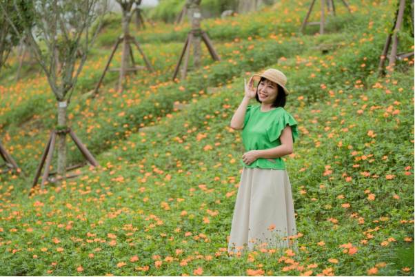 Th&aacute;ng 8 n&agrave;y, gh&eacute; Fansipan ngắm dải lụa đỏ hoa x&aacute;c ph&aacute;o rực rỡ giữa biển m&acirc;y - Ảnh 5.