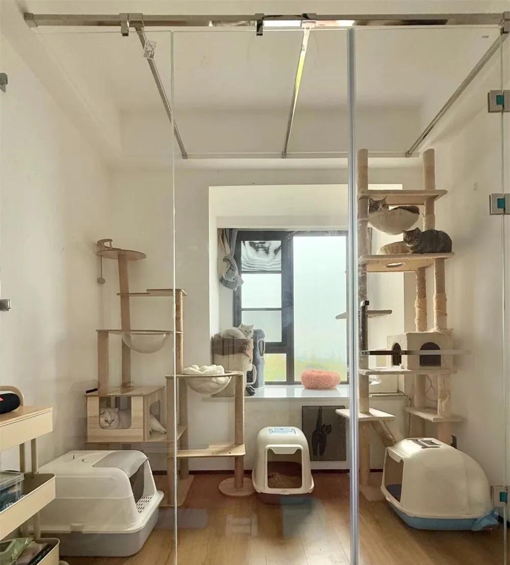 Người dưới 35 tuổi đang đồng loạt cắt 6 khoản chi này: Sau 10 năm biến động, họ nhận ra phần lớn đều không cần thiết - Ảnh 3.