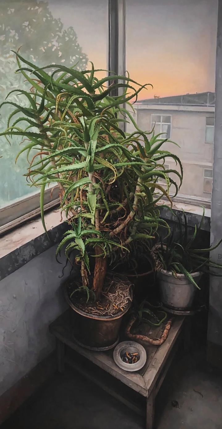 C&acirc;y nha đam 28 năm tuổi h&eacute;o kh&ocirc; suốt 2 năm bỗng bật chồi, c&aacute;ch xử l&yacute; của người b&agrave; khiến d&acirc;n mạng nể phục- Ảnh 1.