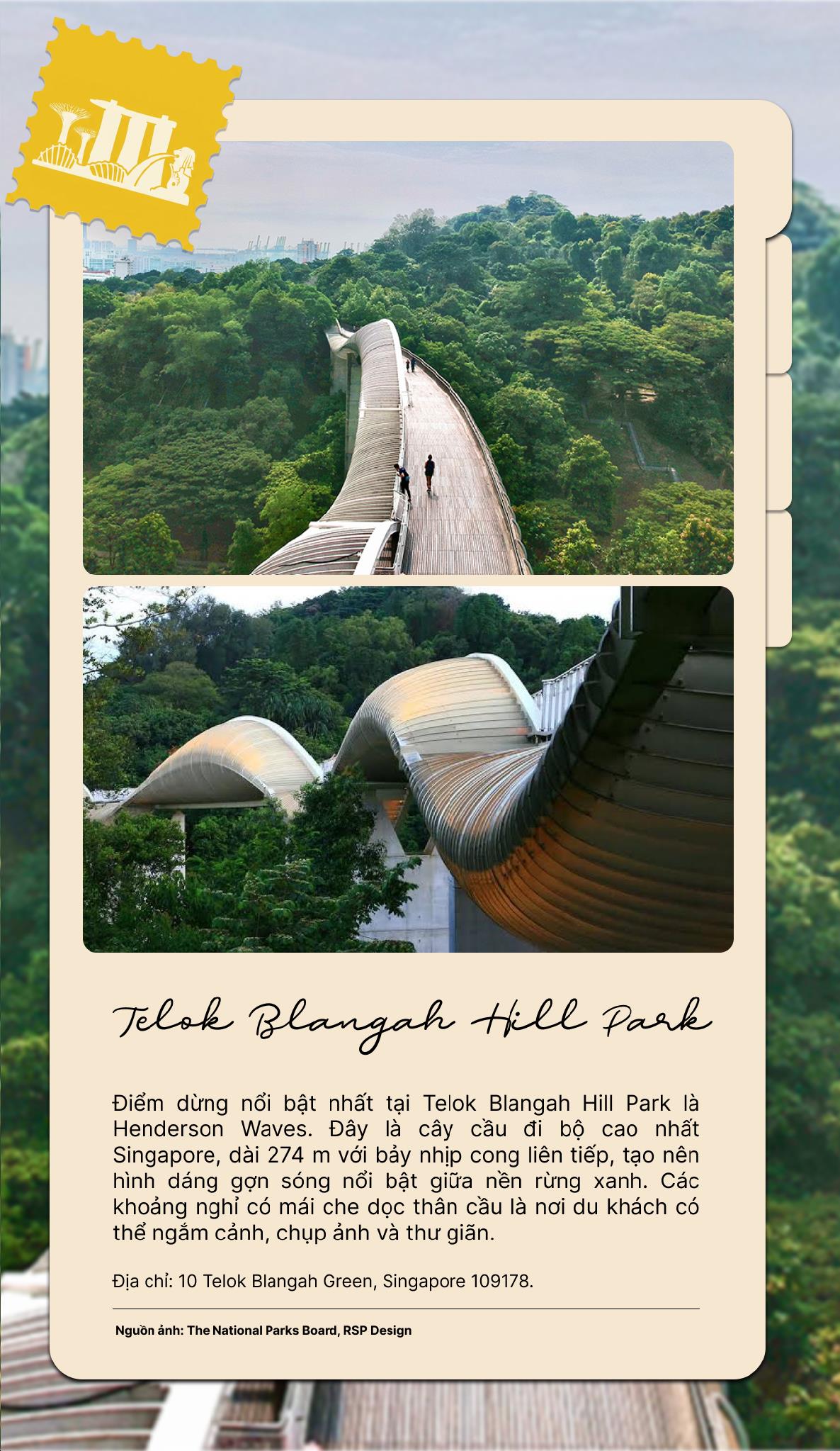 Một Singapore rất kh&aacute;c qua những con đường &ldquo;b&iacute; mật&rdquo; men theo triền đồi xanh - Ảnh 3.