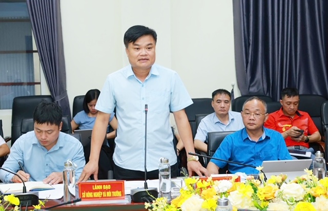 Thái Nguyên triển khai xây dựng mã nhận diện thương hiệu “Chè Thái Nguyên” - Ảnh 2.
