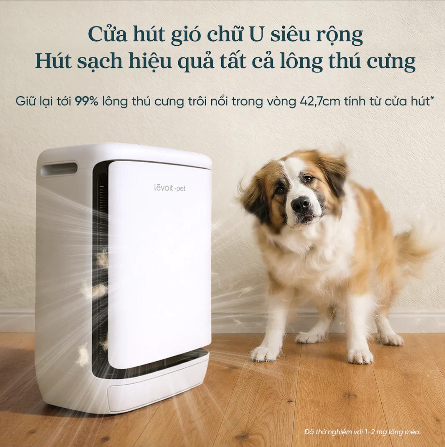 Levoit Vital Pet Pro: “Mổ xẻ” chiếc máy lọc không khí thú cưng hàng đầu phân khúc - Ảnh 1.
