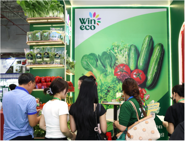 Masan Consumer tham gia Vietfood 2026, đặc biệt giới thiệu c&agrave; ph&ecirc; Fine Robusta- Ảnh 2.