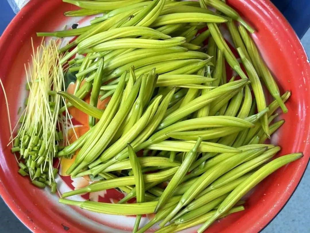 Khi m&ugrave;a thu bắt đầu, n&ecirc;n phơi kh&ocirc; 4 loại rau n&agrave;y, bảo quản trong tủ lạnh v&agrave; d&ugrave;ng để nấu ăn đến tận năm sau - Ảnh 13.