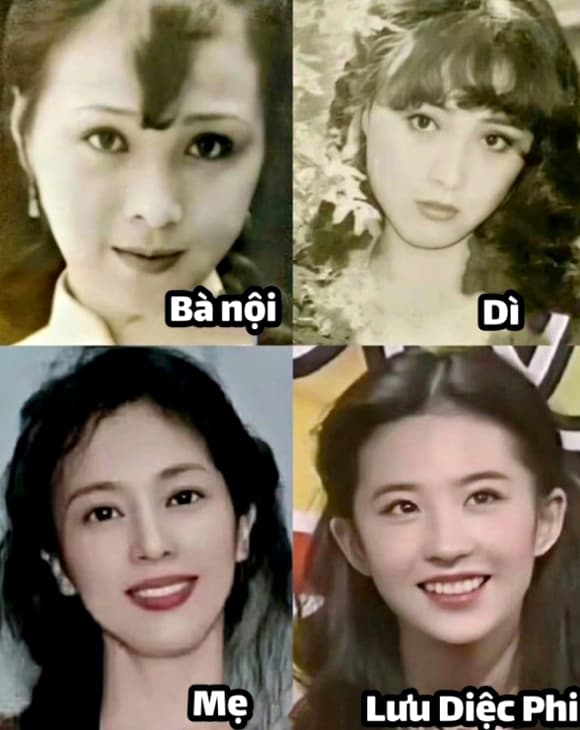 Có mẹ xinh đẹp cỡ này, bảo sao Lưu Diệc Phi là đại mỹ nhân! - Ảnh 8.