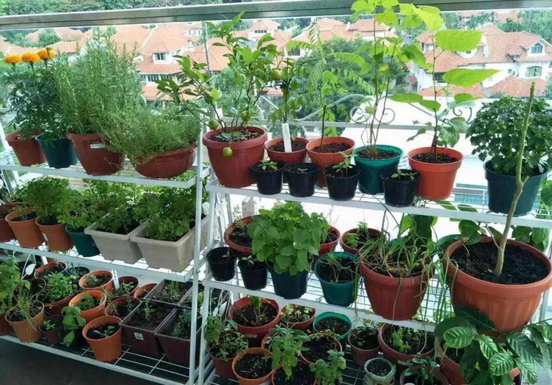 C&ocirc; g&aacute;i sống trong căn hộ chỉ 7m&sup2;: Tận dụng từng centimet, nh&igrave;n c&aacute;ch sắp xếp mới hiểu nh&agrave; nhỏ vẫn c&oacute; thể rất dễ chịu- Ảnh 6.