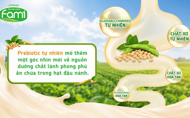 Prebiotic tự nhiên trong đậu nành – Giá trị tiềm năng đang được khám phá- Ảnh 1.