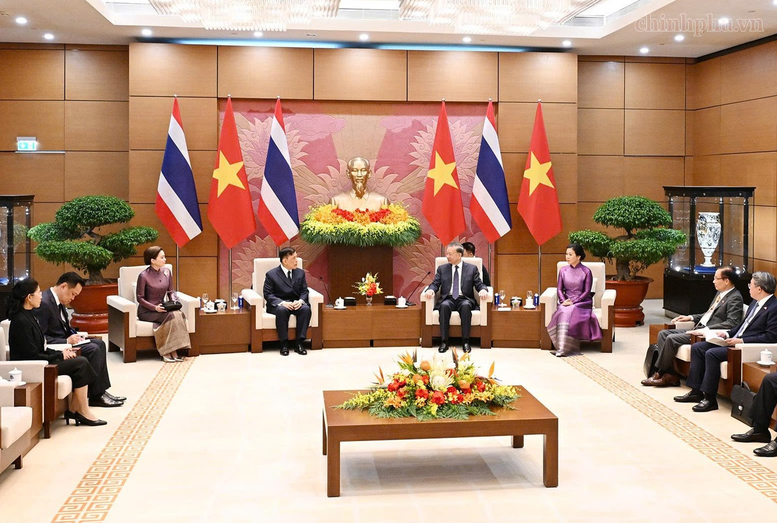Tổng B&iacute; thư, Chủ tịch nước T&ocirc; L&acirc;m hội đ&agrave;m với Nh&agrave; Vua Th&aacute;i Lan- Ảnh 3.