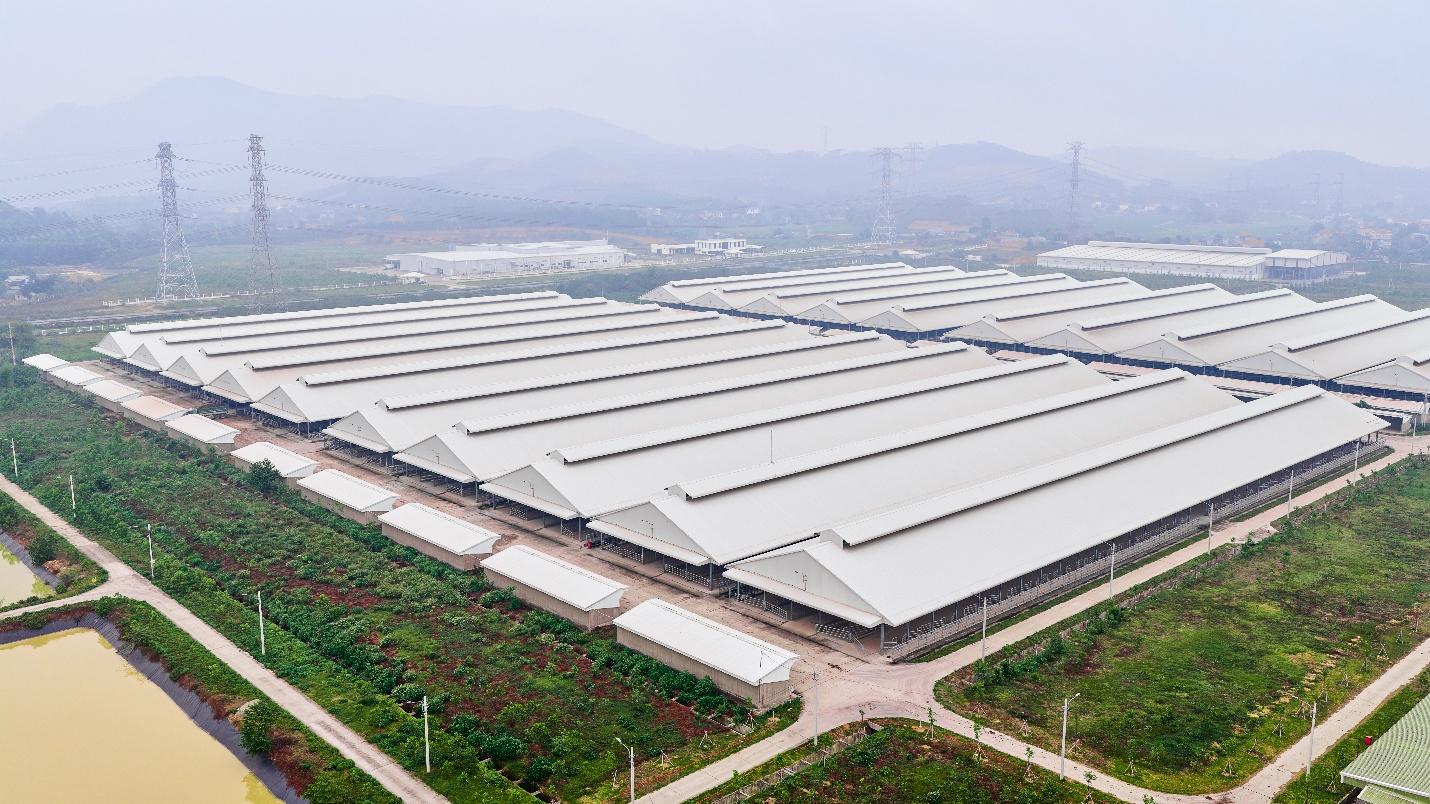 5 vòng check var giúp bạn phân biệt bò cao cấp chuẩn xịn - Ảnh 1.