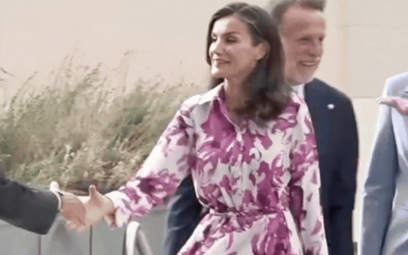 Chiếc váy hoa hồng tím giá 25 triệu của Vương hậu Letizia - Ảnh 5.