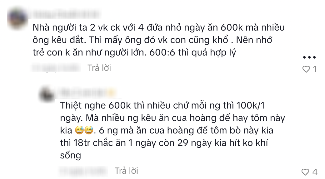 Gia đình 6 người, 4 con, đã có nhà vẫn tiêu 44 triệu/tháng: Riêng tiền ăn 18 triệu khiến dân mạng tranh luận - Ảnh 5.