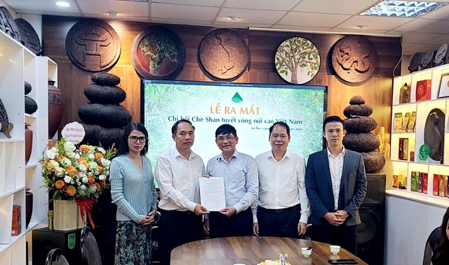 Chè Shan tuyết vùng núi cao tìm hướng nâng giá trị từ liên kết và chuẩn hóa
- Ảnh 2.
