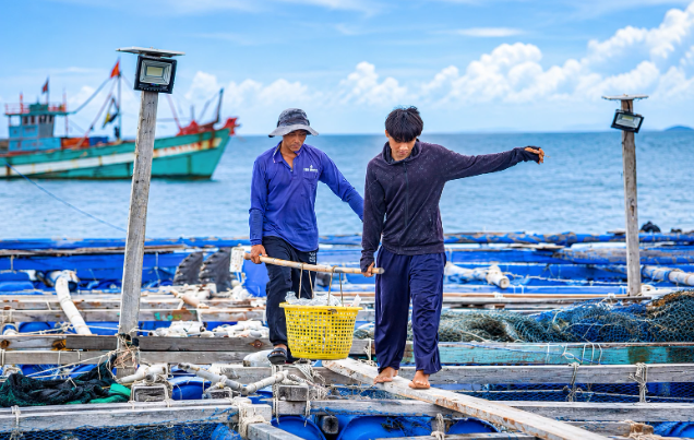 Lao động ngắn hạn có thêm cơ hội tham gia bảo hiểm thất nghiệp - Ảnh 1.