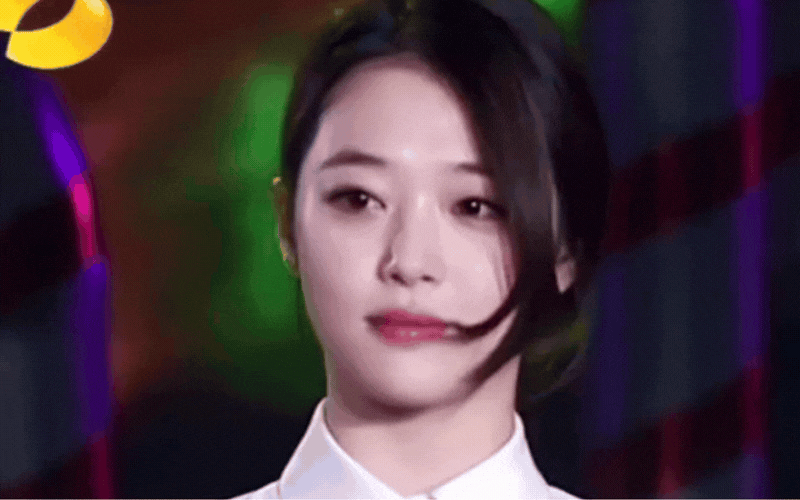 L&agrave;ng giải tr&iacute; kh&ocirc;ng thể t&igrave;m ra đo&aacute; hoa l&ecirc; tuyết thứ 2  - Ảnh 6.