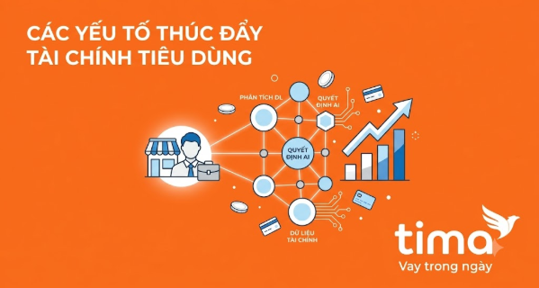 Động lực mới của thị trường tài chính tiêu dùng từ dòng vốn cho hộ kinh doanh nhỏ - Ảnh 1.