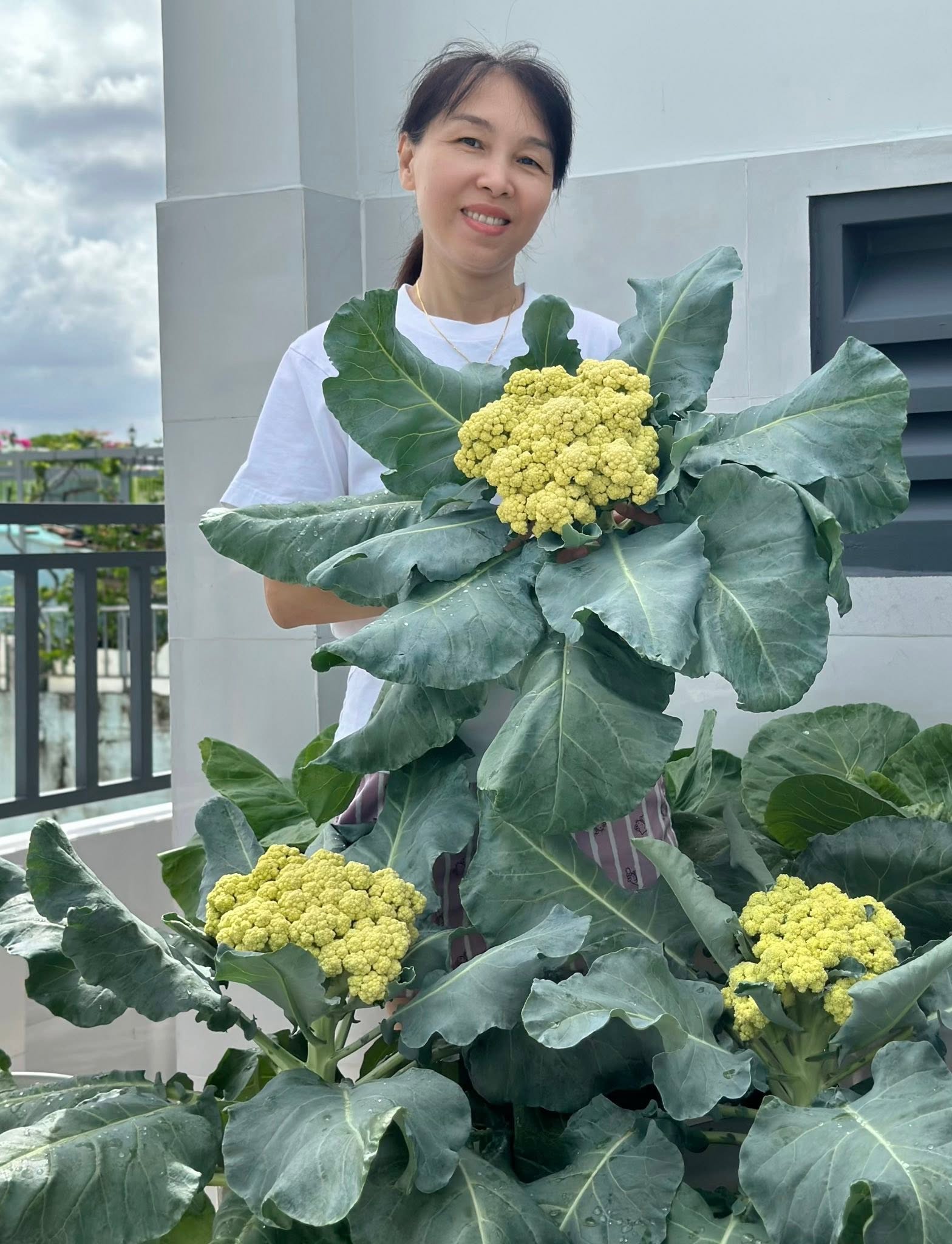 Khu vườn 40m² trên sân thượng ở TP.HCM: Rau xanh ăn quanh năm, chiều nào gia chủ cũng lên “xả stress”- Ảnh 1.
